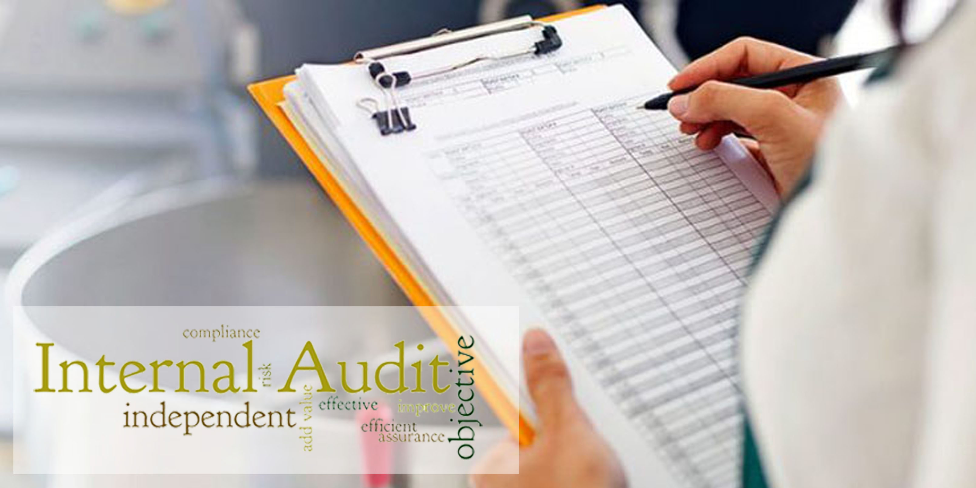 Internal Quality System Auditor